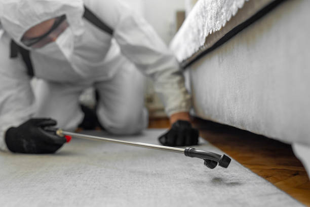 Professional Bed Bug Control technician working in Lexington, MS