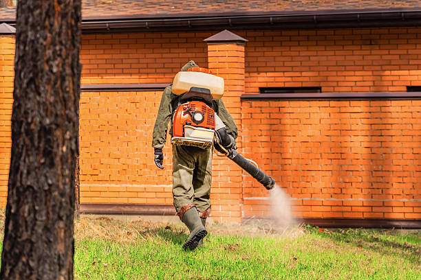 Trusted Mosquito Control service in Lexington, MS - Nex Pest Control